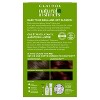 Natural Instincts Clairol Demi-Permanent Hair Color Cream Kit - 4RV Dark Burgundy, Rich Plum - 2 of 4