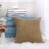 PiccoCasa Home Bedroom Comfortable Soft Velvet Throw Pillow Cover - 4 of 4