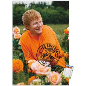 Trends International Ed Sheeran – Rose Field Unframed Wall Poster Prints - 1 of 4