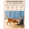 2-in-1 Automatic Pet Feeder and Water Fountain, Food & Water Dispenser with Timer and Filter - 4 of 4