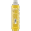 Sparkling Ice Coconut Pineapple - 17 fl oz Bottle - image 2 of 3