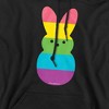 Peeps Rainbow Striped Easter Bunny Peep Adult Pull-Over Hoodie - 2 of 4