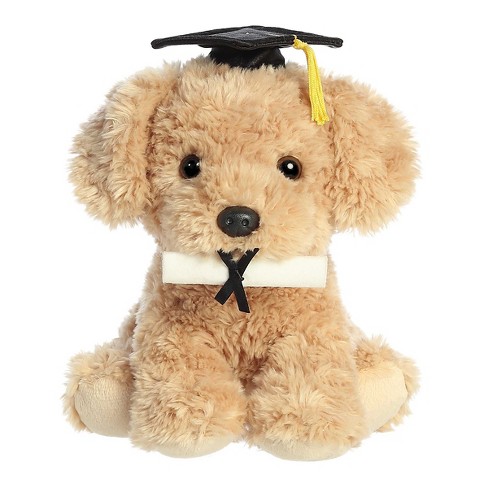 Graduation teddy store bear target