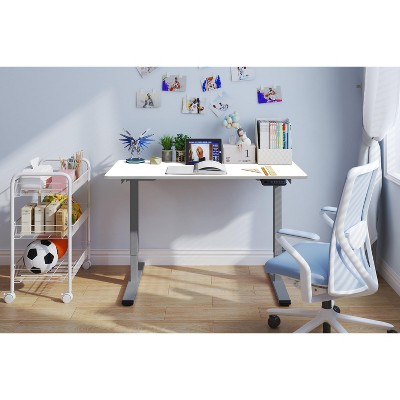 NicBex 47.24 Inch Electric Standing Desk,Dual Motor Adjustable Height Home Office Desk with Gray Frame for Bedroom,Living Study Room