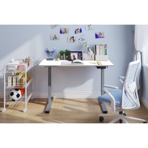 NicBex 47.24 Inch Electric Standing Desk,Dual Motor Adjustable Height Home Office Desk with Gray Frame for Bedroom,Living Study Room - 1 of 4