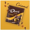 Dove Promises Candy Caramel And Milk Chocolate 6.74 oz - 2 of 4