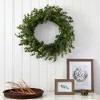 Nearly Natural 24” Eucalyptus Artificial Wreath - 2 of 3