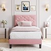 Velvet Bed Frame, Upholstered Platform Bed with Button Tufted Headboard & Under-Bed Storage Space, Sturdy Wooden Slats Support, No Box Spring Needed - 3 of 4
