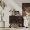 JIONJOY Black Contemporary 2-Drawer Nightstand with Modern Bedside Table and Wooden Drawers - 2 of 4