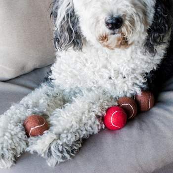Midlee Red Nose Christmas Dog Tennis Balls (Standard)