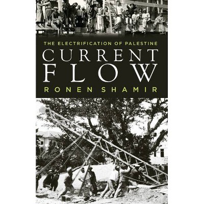 Current Flow - by  Ronen Shamir (Hardcover)