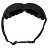 Birdz Eyewear Buzzard Safety Motorcycle Goggles with Smoke Lenses - 4 of 4