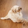 Mighty Paw Waggables Allergy Immune + Itch - 4 of 4