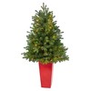 Nearly Natural 3.5-ft Washington Fir Artificial Christmas Tree with 50 Clear Lights in Tower Planter - 2 of 4