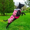 Alpine All-Weather Dog Coat - Raspberry Plaid - 2 of 4