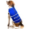 NCAA Kentucky Wildcats Soothing Solution Pets Vest - 4 of 4