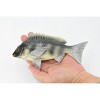 Collectible Wildlife Gifts | Fish, Tilapia, Nile Perch, Museum Quality, Hand Painted, Rubber Fish, Realistic Toy Model, Gift,  7"   CH311 BB130 - 2 of 4