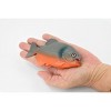 Collectible Wildlife Gifts | Fish, Red-Bellied Pranha, Museum Quality, Hand Painted, Rubber Fish, Realistic Toy Model, Gift,   4 1/2"   CH362 BB137 - 2 of 4