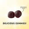 Deha Shilajit Gummies with Ashwagandha, Sea Moss - Raspberry Watermelon Flavor - Non-GMO, Gluten-Free, Vegan - 60 Gummies - 2 of 4