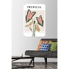 Trends International Botanical - Tropical Unframed Wall Poster Prints - 2 of 4