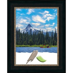 Amanti Art Paragon Bronze Picture Frame - 1 of 4