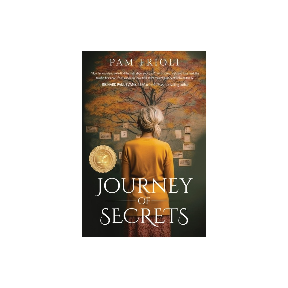 Journey of Secrets - by Pam Frioli (Paperback)