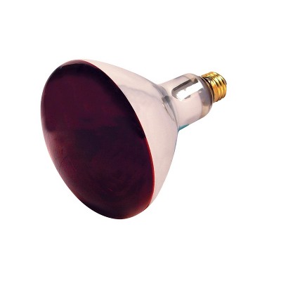 Satco Heat Lamp Bulb