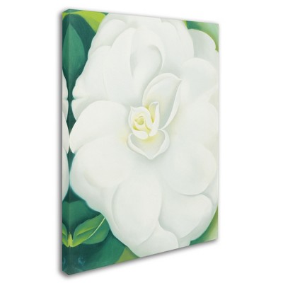 Trademark Fine Art -Georgia O'Keefe 'White Camelia' Canvas Art