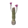 Faux Cactus Potted Plant Faux with Planter Realistic for Home Garden Office Indoor Outdoor Decoration Artificial Plant - 2 of 4