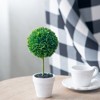 DSVIMOY Mini Faux Topiaries in Cream Pot, Faux Cacti Plants for Home Garden Office Store Decoration, Green, 10.6"*3.5"*9.5" - 4 of 4