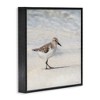 Stupell Industries Sandpiper Bird Stepping Beach Sand Black Framed Giclee Art - 3 of 4