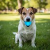 Strobe Ball Ultra Durable PUP-X Chewing, Floating & Retrieving Ball - 2 of 3