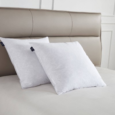 Euro 2pk Firm Feather Down Bed Pillow - Scott Living