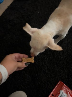 Guest review image 2 of 2, zoom in