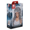 Smiffys Medeia Witch Beehive Grey Wig Costume Accessory - 2 of 4