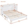 Queen/Full Size Murphy Bed Wall Bed, Modern Wood Cabinet Bed with Drawer and Sockets & USB Ports -ModernLuxe - 4 of 4