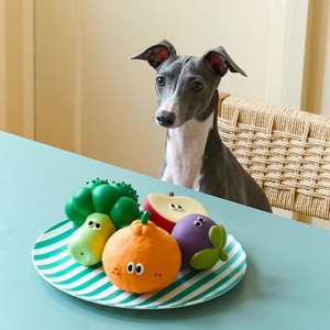 ZEZE Fruit & Veggie Latex Squeaky Dog Toys - 1 of 4