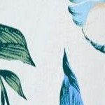 ivory tropical