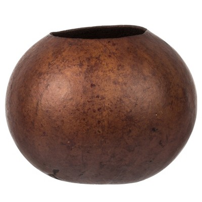 Vickerman 6-7" x 6-8" Bacacuia Gourd, Dried 3 Pack