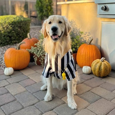 Amylove 4 Pcs Referee Dog Halloween Costume Include Black and White Striped  Sleeveless T Shirts, Adjustable Dog Hat with Ear Holes, Yellow Penalty