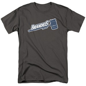 Men's Brandeis University Official Distressed Primary T-Shirt - 1 of 4