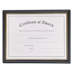 Nudell Framed Achievement/Appreciation Awards Two Designs Letter 19210