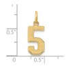 Black Bow Jewelry 14k Yellow Gold, Jersey Collection, Medium Number 5 Pendant - 4 of 4