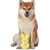 Peeps for Pets Dress Up Plush Bunny Toys for Dog - Yellow - 3 of 4