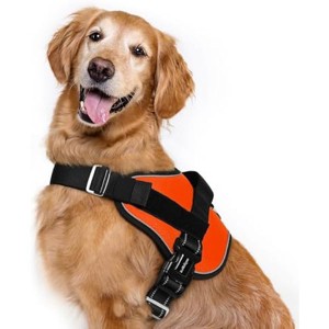 rabbitgoo Dog Harness for Large, Easy On Pet Vest with One Buckle, No Pull Adjustable  Training, Orange, XL - 1 of 1