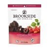 Brookside Dark Chocolate, Goji and Raspberry Chocolate Bag Candy - 7oz - 2 of 4