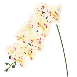 Unique Bargains Artificial Orchid Flowers Nine-headed Large Faux Phalaenopsis Silk Bouquets Real Touch 37 Inch - 1 of 4