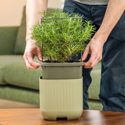 Sage Green Recycled Plastic Self-Watering Planter Pots with Trellis, 2 Pack