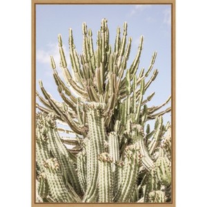 Amanti Art Cactus Forest by Shot by Clint Canvas Wall Art Print Framed - 1 of 4