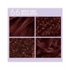 Dark and Lovely Go Intense! Ultra Vibrant Permanent Hair Color - image 3 of 4